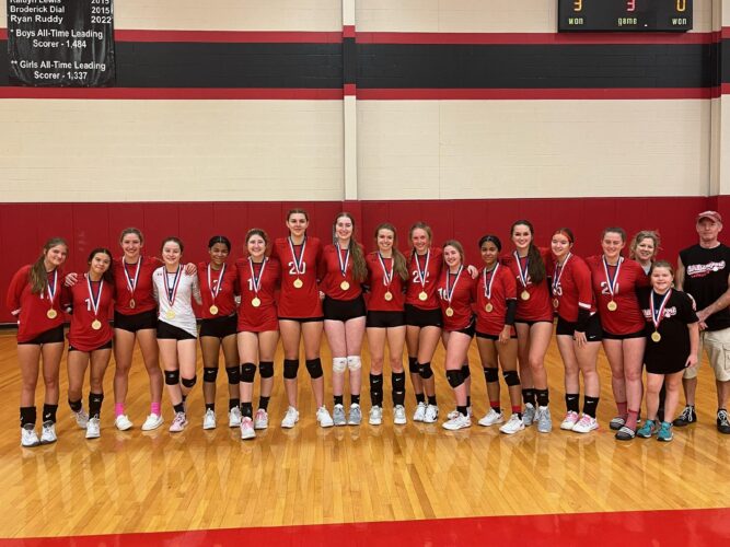 Williamsport’s girls volleyball team finishes as District 24 Class